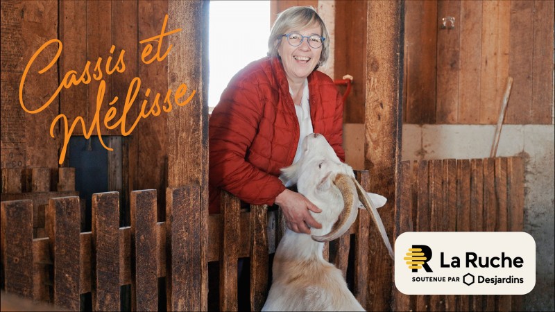 Cassis et Mélisse | Sociofinancement La Ruche