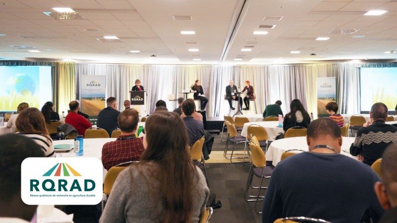 RQRAD | Capsule thématique Projets